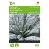Palm Kale Nero di Toscana