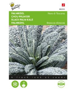 Palm Kale Nero di Toscana
