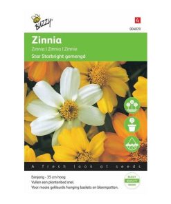 004870 Star Starbright Zinnia Mixed seeds