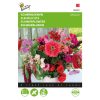 004893 Pink and Red Summer Flower Mix