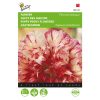 Flemish Antique Poppy Seeds