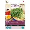 Mizuna Japanese Salad Seeds