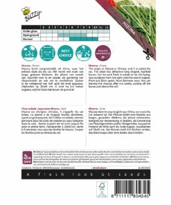 Alternative view of Buzzy Xotica Mizuna Japanese Salad Seeds 10g