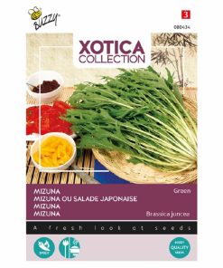 Mizuna Japanese Salad Seeds