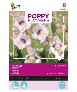 Blue Poppy Seeds