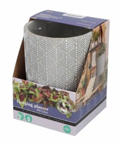 Buzzy House Plants Hanging Pot with Coleus Seeds