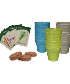 Buzzy Advent Calendar Herbs and Vegetables seeds - Image 4