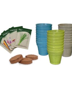Buzzy Flower Seed Advent Calendar - Image 4