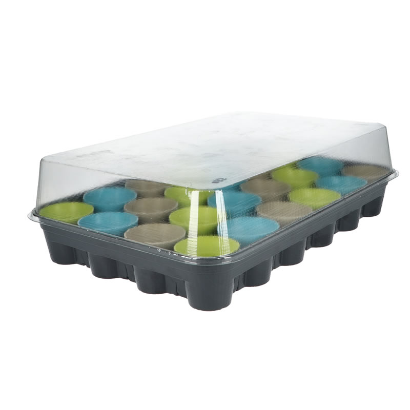 Buzzy Flower Seed Advent Calendar - Image 5