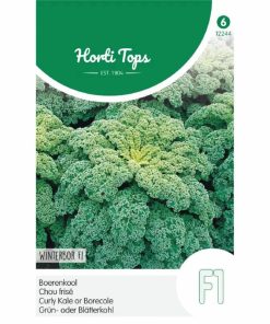 kale winterbor