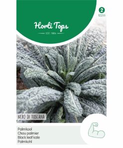 Palm Kale Nero