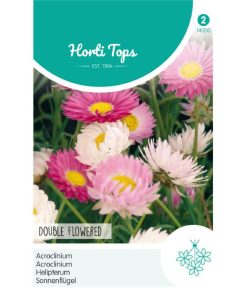Acroclinium Double Mixed