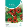 14005- Adonis Red Flowering Seeds
