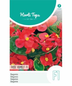 Begonia F1 Comet Red