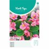Begonia F1 Comet Pink
