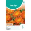 Radio Orange Calendula