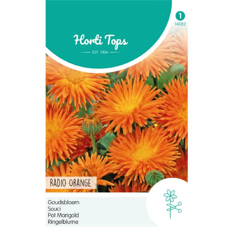 Radio Orange Calendula