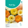 14085- Pacific Beauty Calendula Mixed Seeds