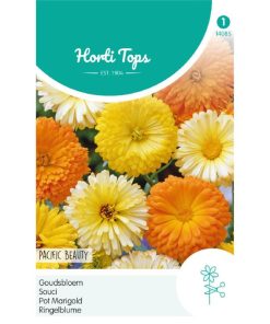 14085- Pacific Beauty Calendula Mixed Seeds