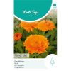 14088- Orange King Calendula Seeds