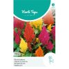 14157- Celosia Plumosa Mixed Seeds