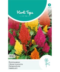 14157- Celosia Plumosa Mixed Seeds