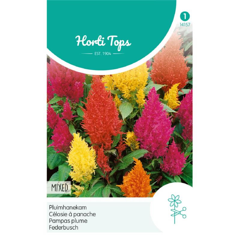 14157- Celosia Plumosa Mixed Seeds