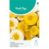 14187- Double Chrysanthemum Mixed Seeds