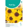 14192- Eldorado Yellow Chrysanthemum Seeds