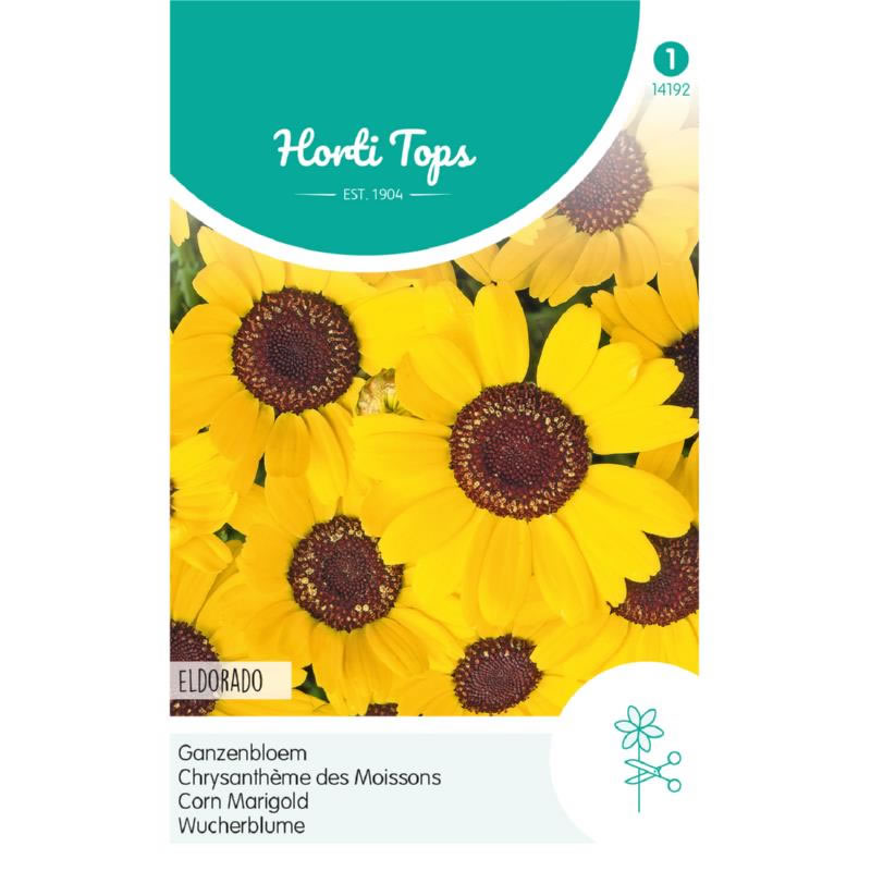 14192- Eldorado Yellow Chrysanthemum Seeds