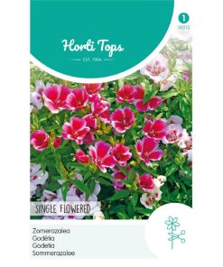14315- Godetia Single Mixed Seeds