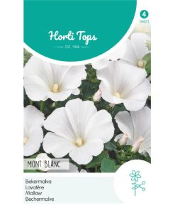 14431- Mont Blanc Lavatera Seeds