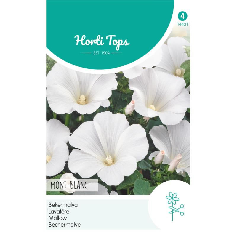 14431- Mont Blanc Lavatera Seeds