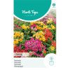 14510- Carnival Nemesia Mixed Seeds