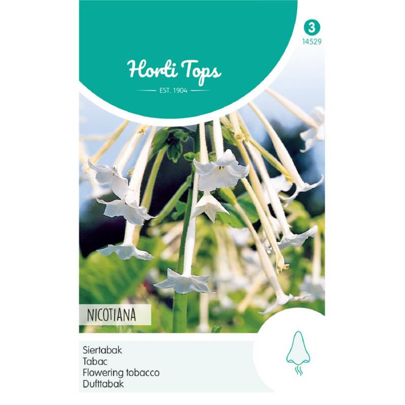 14529- HT White Flowering Tobacco Seeds 0.15g
