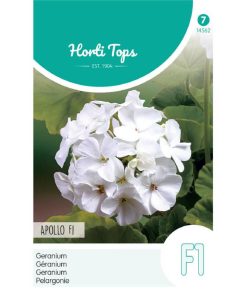 Apollo White F1 Pelargonium
