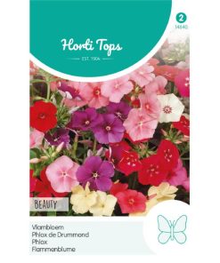 Beauty Mixed Annual Phlox Seeds