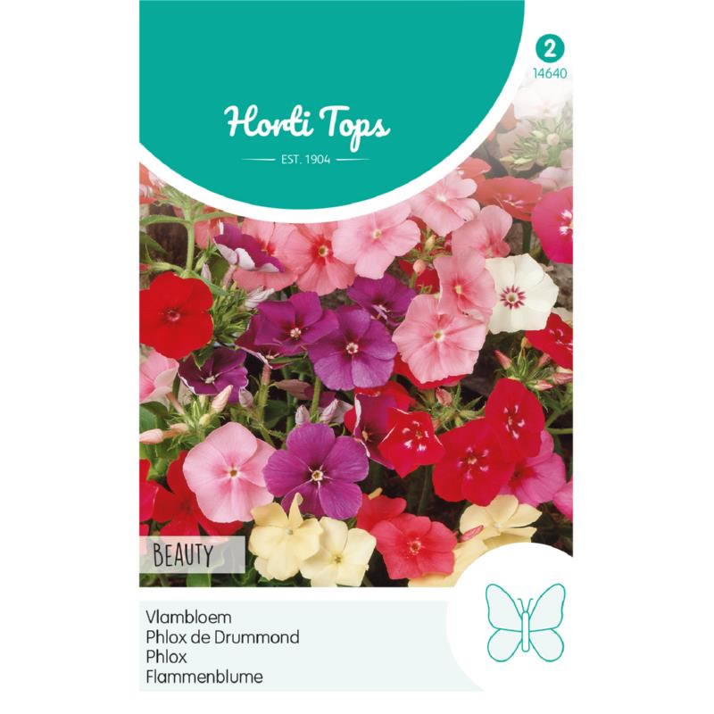 Beauty Mixed Annual Phlox Seeds