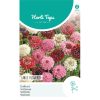 Grandiflora Scabiosa Mixed Seeds 0.6g