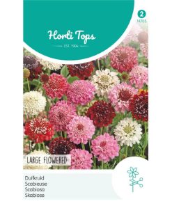 Grandiflora Scabiosa Mixed Seeds 0.6g