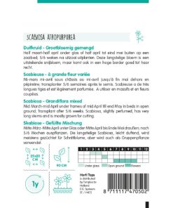 Grandiflora Scabiosa Mixed Seeds 0.6g
