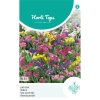 Pacific Statice Mixed Seeds