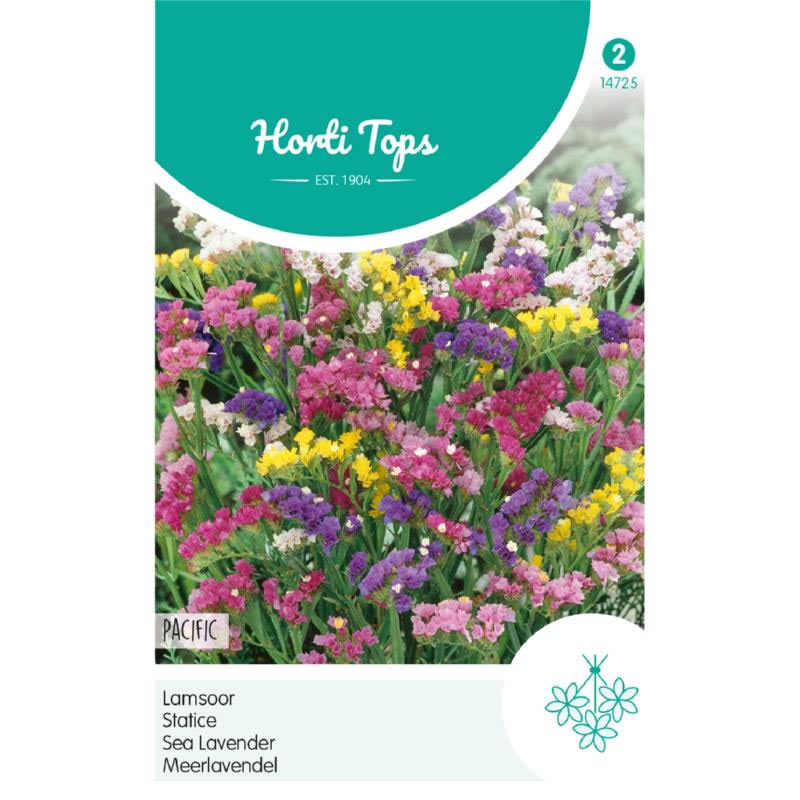 Pacific Statice Mixed Seeds