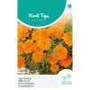 Tangerine Dwarf French Marigold