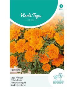Tangerine Dwarf French Marigold