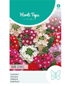 Florist Verbena Mixed Seeds