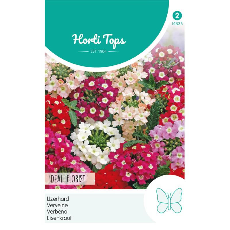 Florist Verbena Mixed Seeds