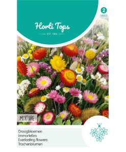14905- Everlasting Flower