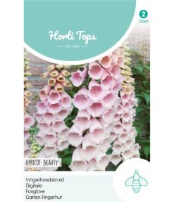 HT Apricot Beauty Foxglove Seeds 0.5g