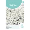 15305- Snow-in-Summer Seeds